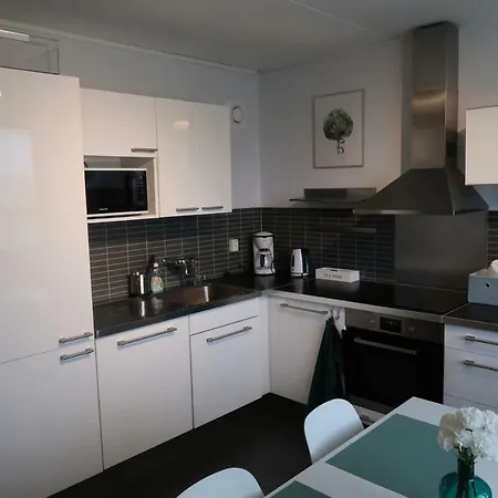 Apartment Everstinkuja Studio
